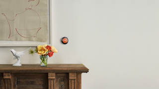 You Can Now Use Your Amazon Echo To Control Your Nest